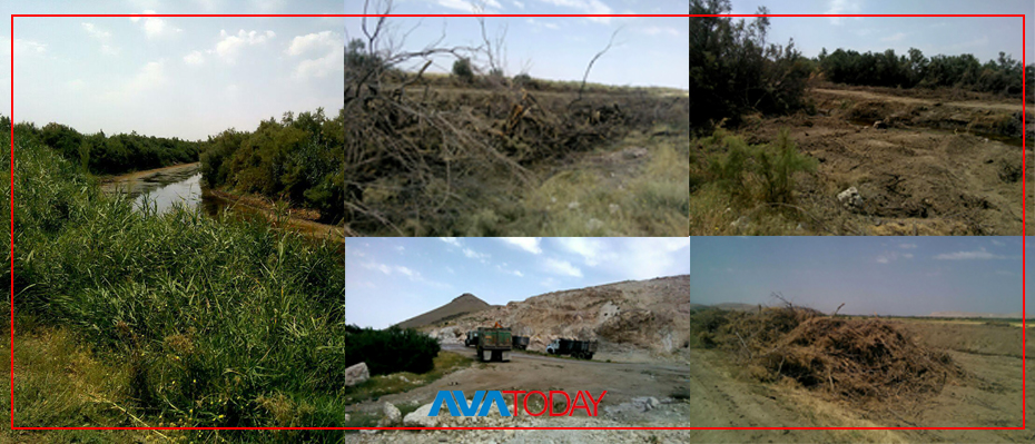 سوپاى پاسداران دارگەزەکانى داشخانە لەنێو دەبات