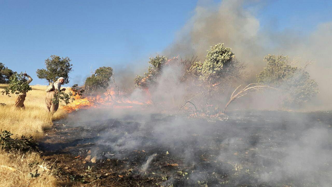 Forest fires in Iran- Most blame the regime for the mass destruction