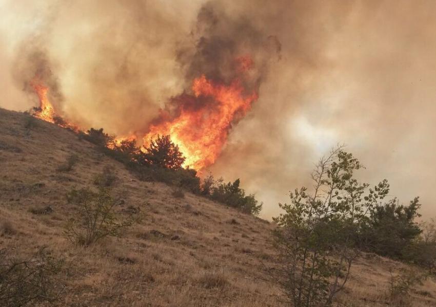 دهها هزار هکتار جنگل‌‌های ارسباران در آتش می‌سوزد؛ اعتراف مقام ارشد: «امدادرسانی: صفر»