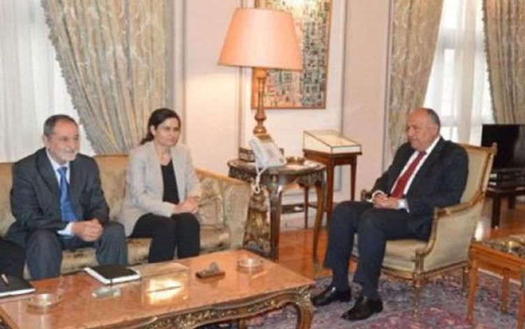 İlham Ahmed’le görüşen Mısır Dışişleri Bakanı Şukri: Türk devleti tehlikeli ve yayılmacı
