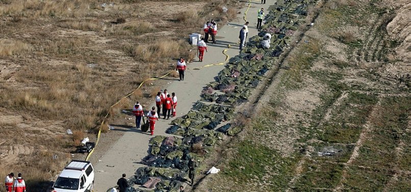 Hukuk uzmanları: Ukrayna uçağı kurbanlarının tazminatları için Tahran’a baskı şart