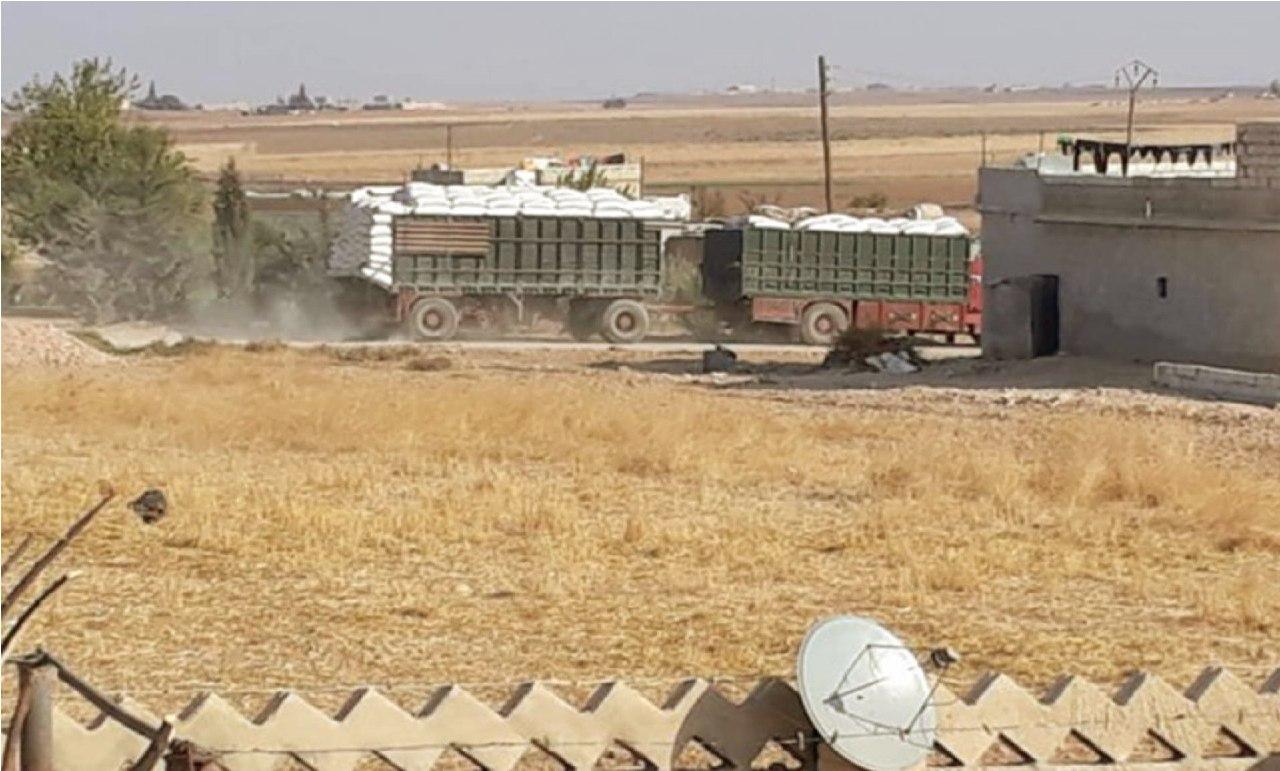 Türk haydutçuluğu, Rojava Kürdünün alın terini çalıyor