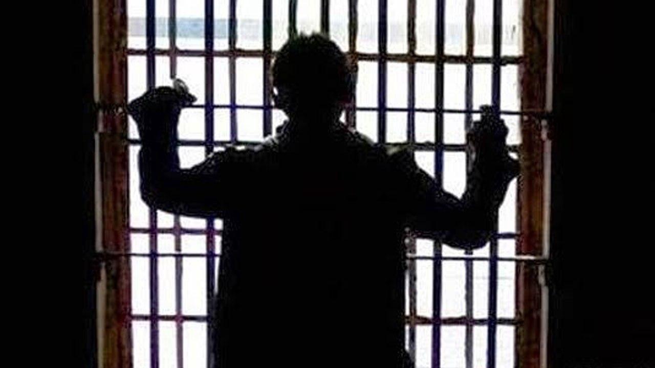 Türk devleti, siyasi tutsaklar dışındaki mahkumlara af mı çıkarıyor