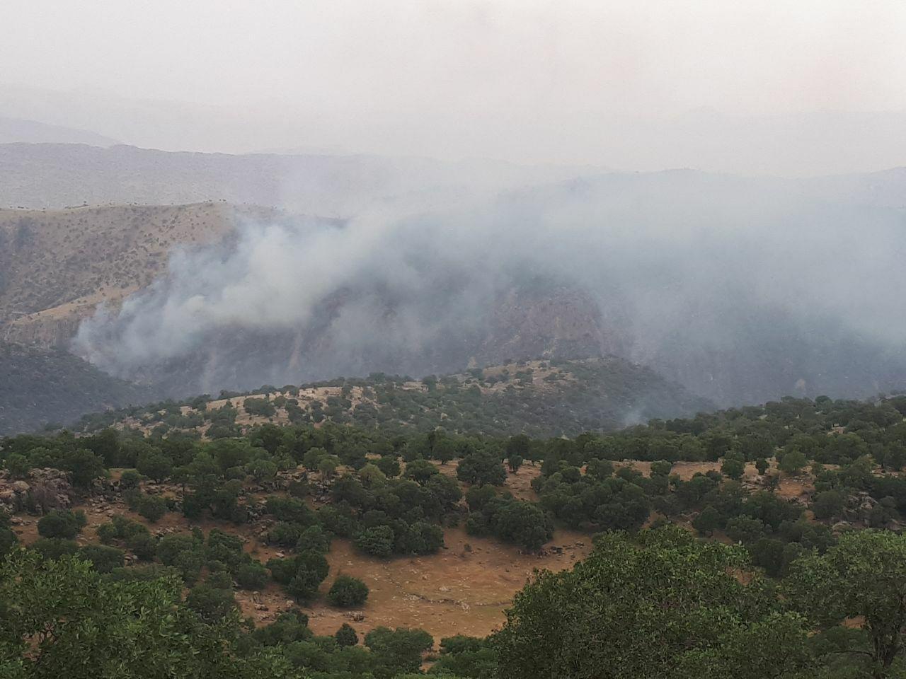 سووتانی دارستانەکانی داڵاهۆ و شاردنەوەی لە لایەن کۆماری ئیسلامی