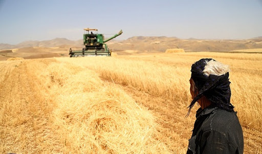 مەهابادییەکان گلەییان لە بەکرێدانى زەوییە کشتوکاڵییەکانى شاروێران بە بێگانەکان هەیە