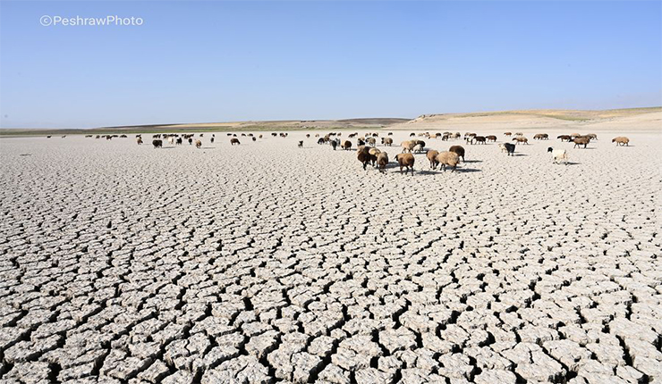 نهر سيروان