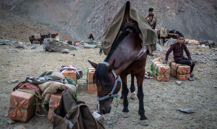 ئێران هەر ئەو ئەسپانەی دەستی بەسەر گرتووه دەفرۆشێتەوه کاسبکاران