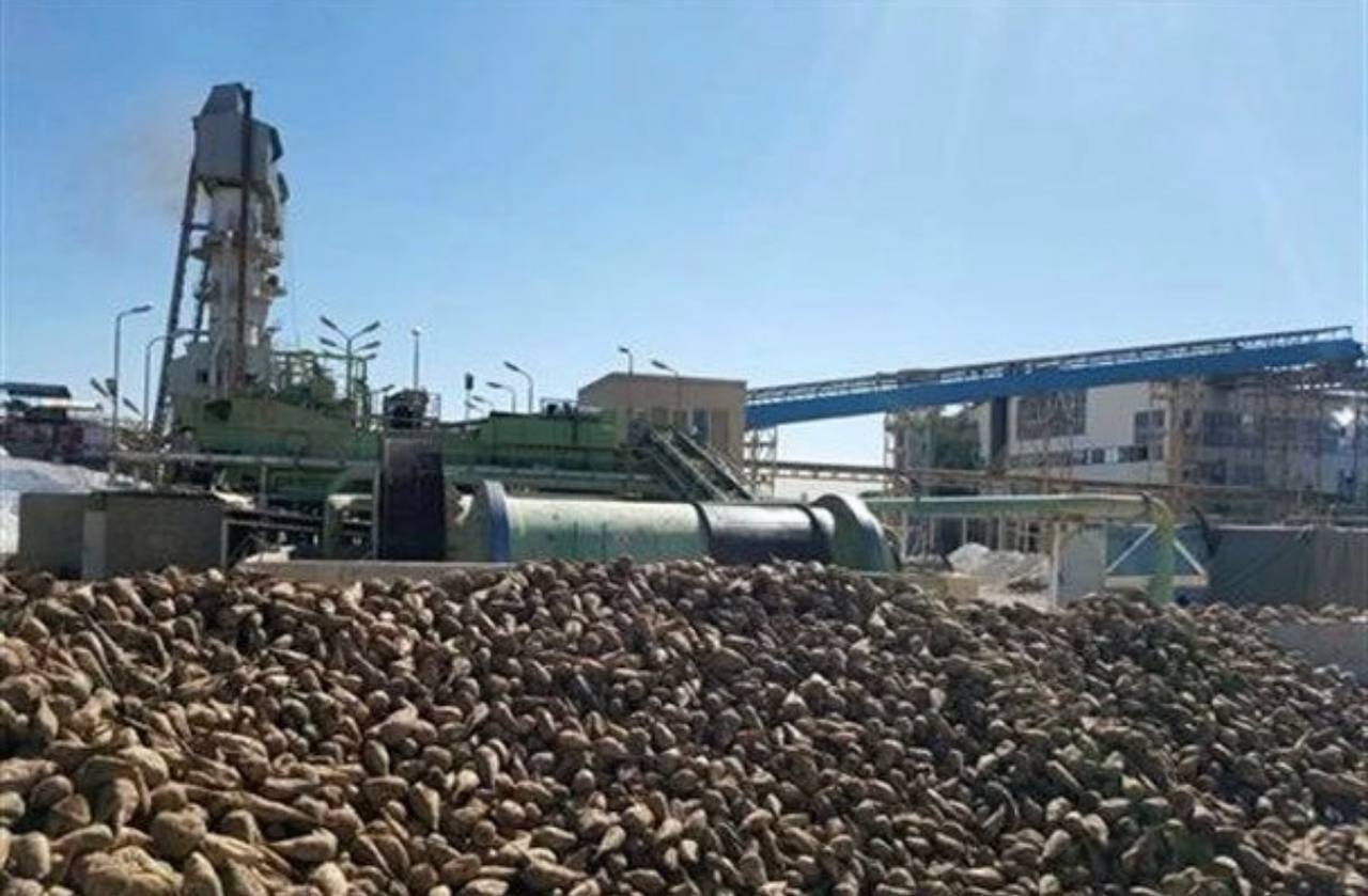 بعد از یکسال هنوز چغندرکاران بوکان حق خود را دریاف نکردەاند