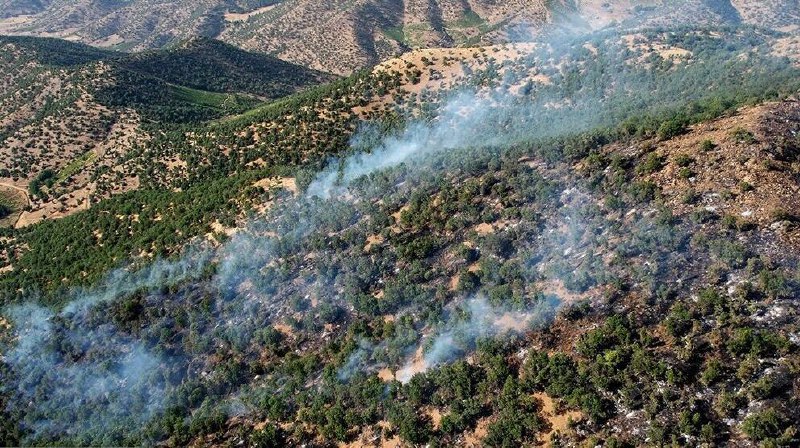 227 Wildfires Recorded in the Forests of Mariwan in Just Six Months
