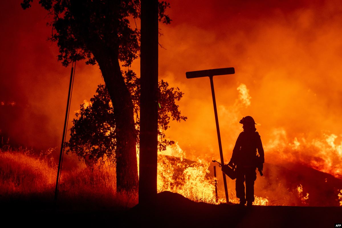 الأمازون رئة العالم تحترق Avatoday
