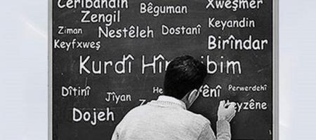 Kürtçe’nin sosyal hayatta kullanılma oranı %37,6