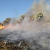 Forest fires in Iran- Most blame the regime for the mass destruction