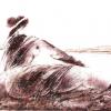 رسمة لعلي فرزات