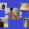  At least 23 Kurdish Kolbare were killed and injured by the Iranian military