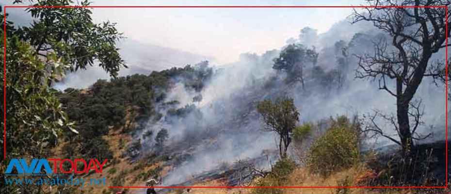 Çevrecilerden Zagros ormanlarının tahribatına tepki 