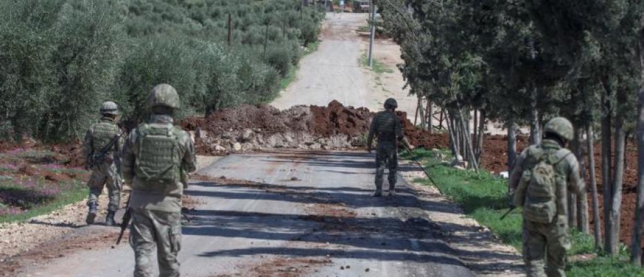 Afrin zeytinyağı 'Türk malı' olarak piyasaya sürülüyor