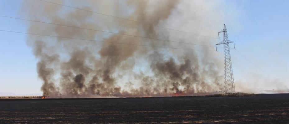 Rojava’da şüpheli ekin yangınlarında 4 bin 175 hektar ekin yandı