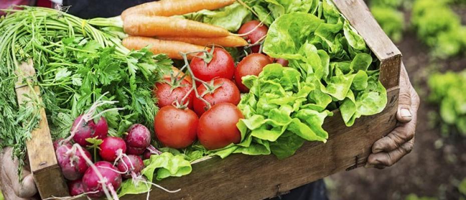 10 milyar insanı beslemenin 5 yolu