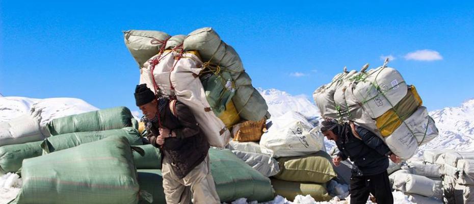 کۆڵبەری بە بڕوانامەی دوکتۆرا و پسپۆڕى باڵا