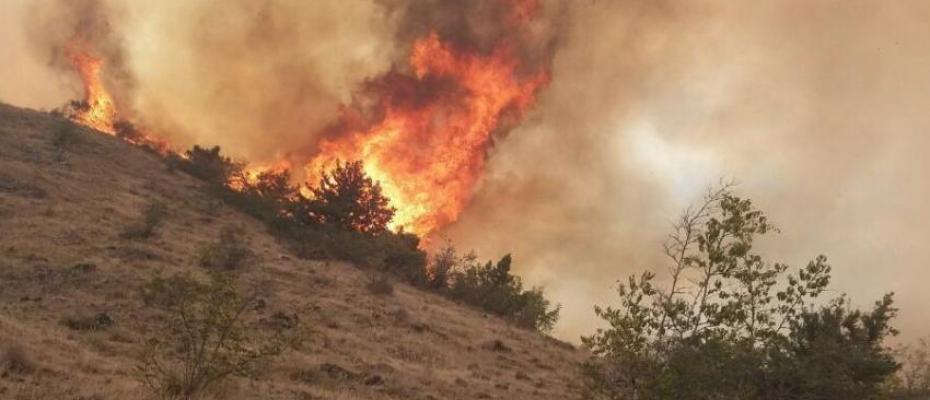دهها هزار هکتار جنگل‌‌های ارسباران در آتش می‌سوزد؛ اعتراف مقام ارشد: «امدادرسانی: صفر»