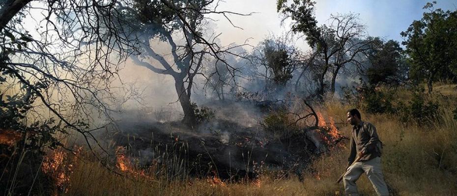 بەڕێوەبەرى سەرچاوە سروشتییەکانى مەریوان پشتبەستن بە سوپا دارستانەکان وێران دەکا