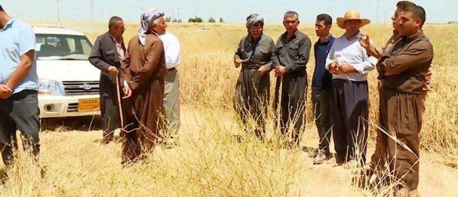 Kerküklü Kürt çiftçilerden “İthal Araplara”: Tehditlerinizden korkmuyoruz