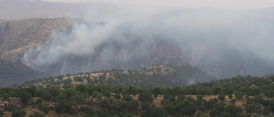 İran rejimi, ormanlarını yakarak Rojhelat’ı boğuyor