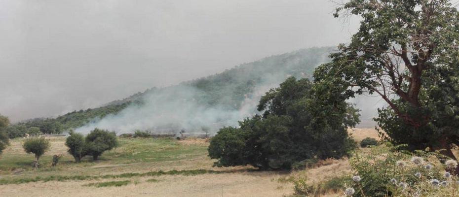 İran rejimi Başûr’un Sidekan bölgesine hava saldırısı gerçekleştirdi