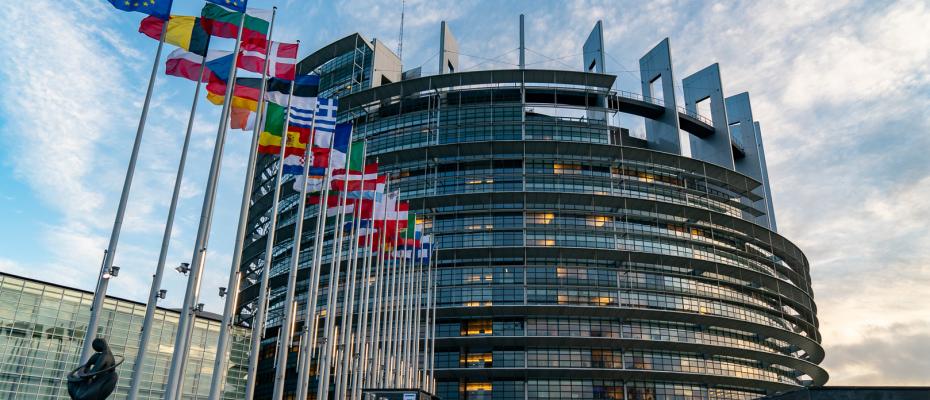 EU Parliament member calls for release of Iranian civil activist