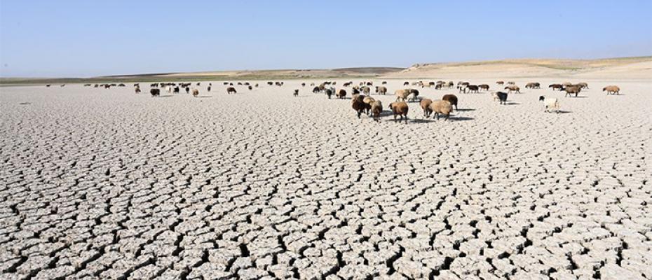 نهر سيروان