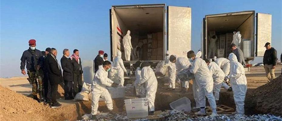 عملية الإتلاف