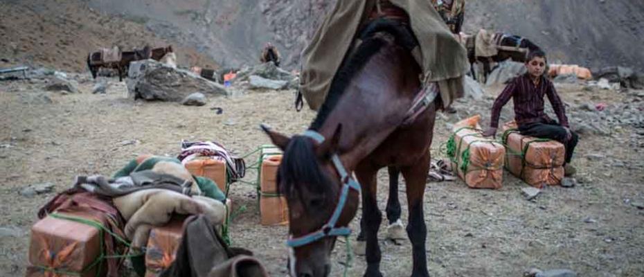 ئێران هەر ئەو ئەسپانەی دەستی بەسەر گرتووه دەفرۆشێتەوه کاسبکاران