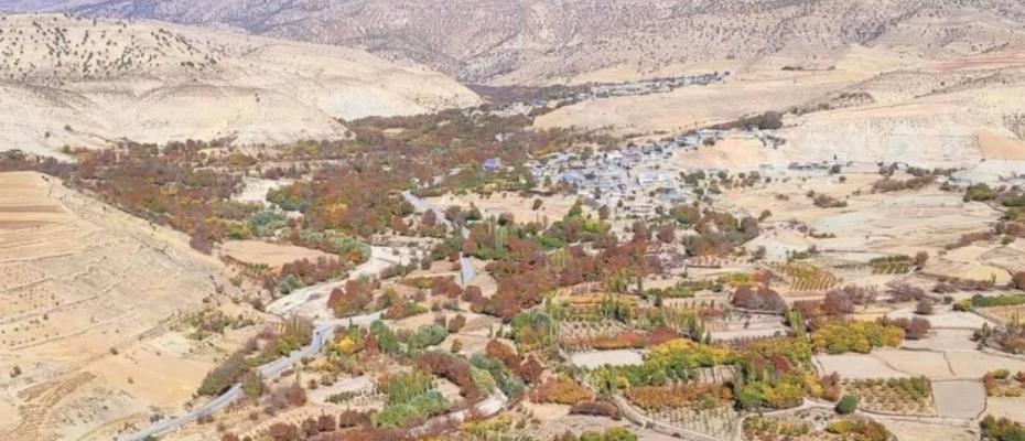 ناوچەی میشخاس