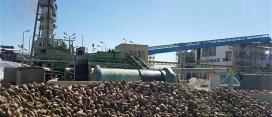 بعد از یکسال هنوز چغندرکاران بوکان حق خود را دریاف نکردەاند