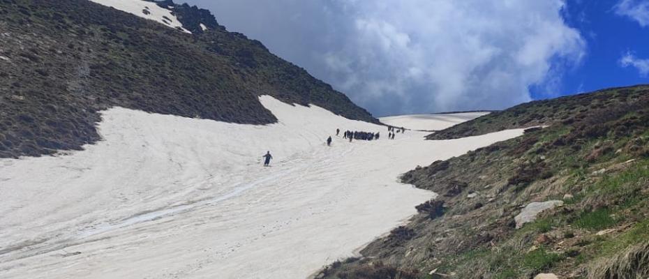 لە شنۆ سوپای پاسداران تەقەی لە دوو برا کرد و یەکیان گیانی لەدەستدا